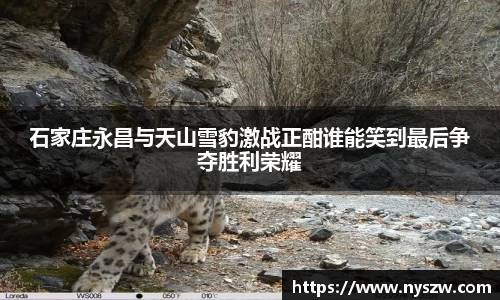 石家庄永昌与天山雪豹激战正酣谁能笑到最后争夺胜利荣耀