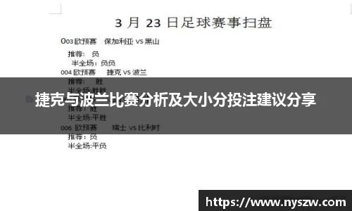 捷克与波兰比赛分析及大小分投注建议分享